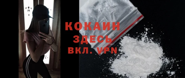 крисы Абаза
