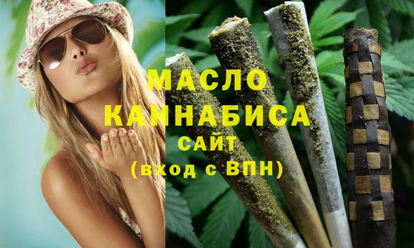 индика Ростов