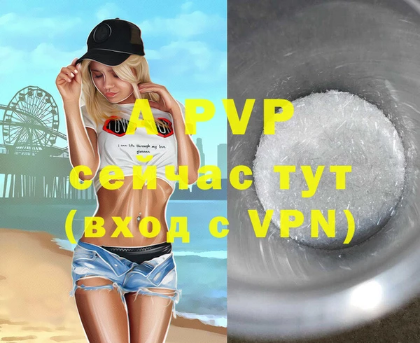 индика Ростов