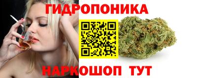 индика Старая Купавна