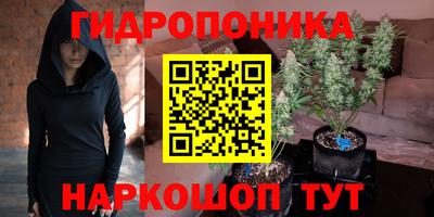 индика Старая Купавна