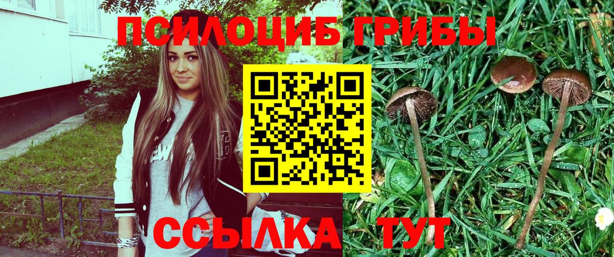 цена   Тында  Псилоцибиновые грибы мухоморы 