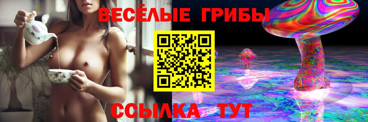 Тында  Псилоцибиновые грибы Psilocybe  Вход с VPN 