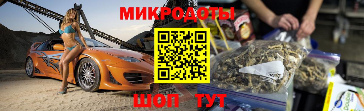 Галлюциногенные грибы Psilocybe Тында