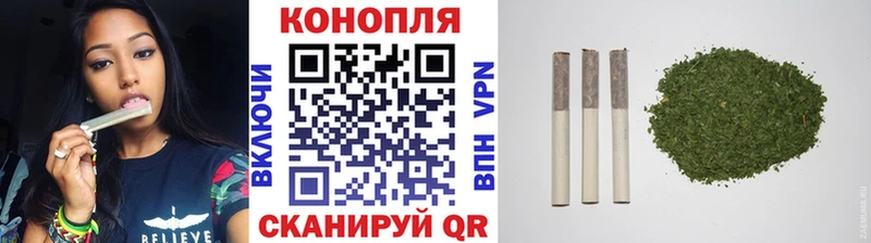Бошки марихуана гибрид Тында