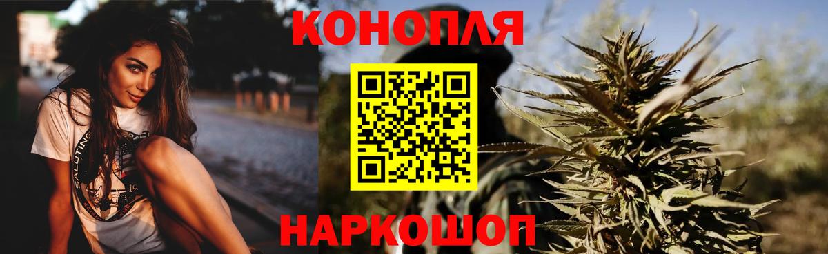 Бошки Шишки ГИДРОПОН Тында